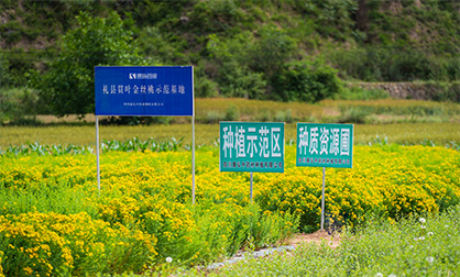 365体育官网_365体育亚洲官网