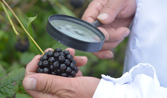 365体育官网_365体育亚洲官网